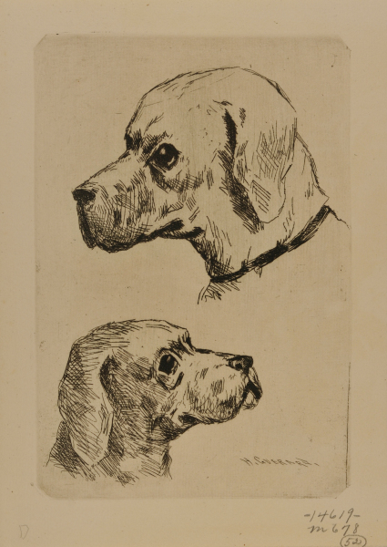 Étude de chiens - Image 2