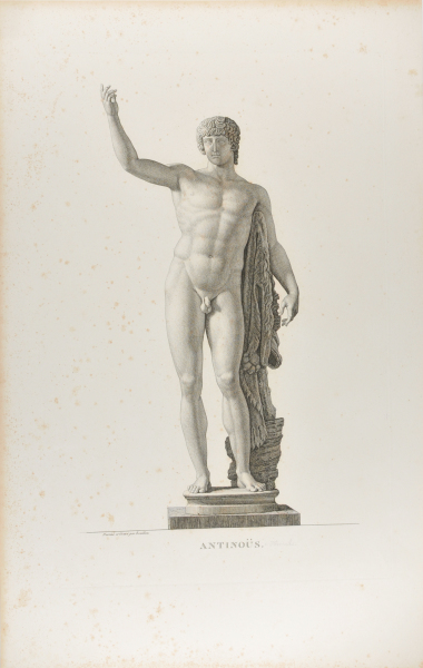 Antinous - Image 4