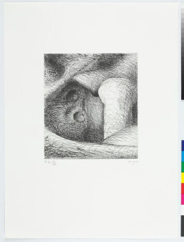 Plate II from the book “Elephant Skull”