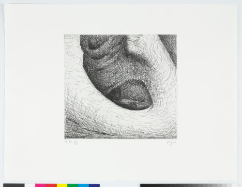 ONE FINDS FORMS OF GREAT STRENGTH CONTRASTING WITH OTHERS OF AMAZING DELICACY