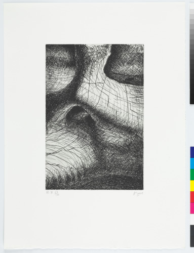 BONES HAVE MARVELLOUS STRUCTURAL STRENGTH AND HARD TENSENESS OF FORM