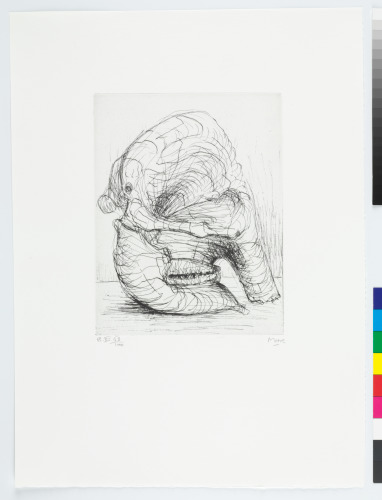 From the “Elephant Skull Album”