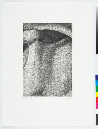 From the “Elephant Skull Album”