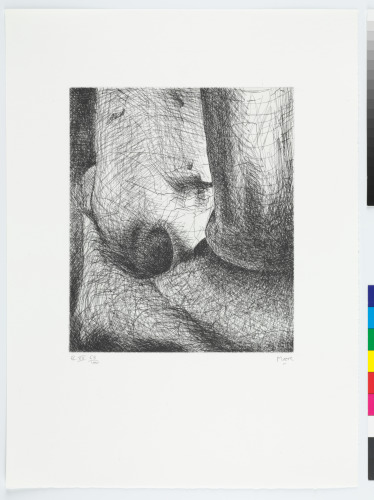 From the “Elephant Skull Album”