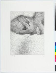 From the “Elephant Skull Album”