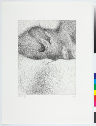 From the “Elephant Skull Album”