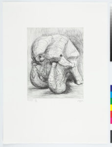 Elephant Skull Album