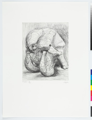 Elephant Skull Album