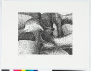 From the “Elephant Skull Album”