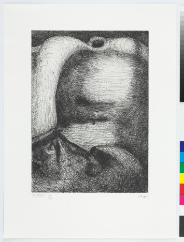 From the “Elephant Skull Album”