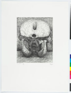 From the “Elephant Skull Album”