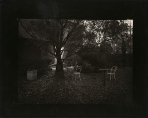 A Walk in the Magic Garden–Rothmayer’s Garden