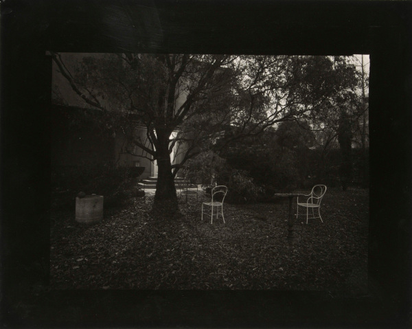 A WALK IN THE MAGIC GARDEN--ROTHMAYER'S GARDEN