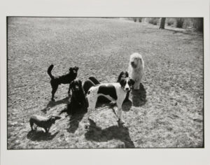 from the series, “Women are Beautiful”