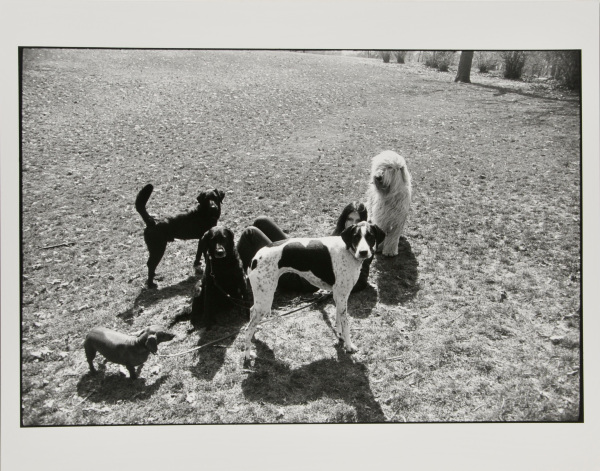 from the series, “Women are Beautiful”