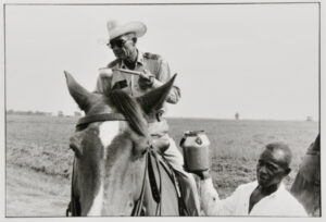 Conversations with the Dead