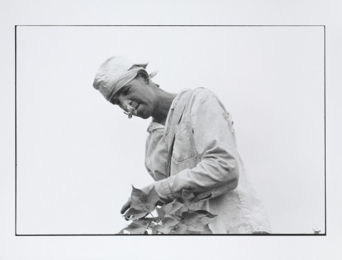 Conversations with the Dead