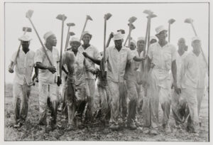 Conversations with the Dead