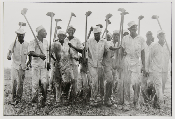 Conversations with the Dead