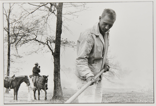 FORTY-FIVE YEARS, ROBBERY, ELLIS