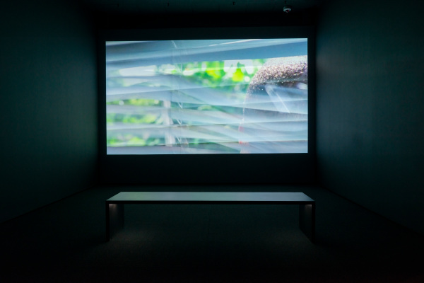 A Man Screaming Is Not a Dancing Bear - Image 5