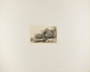 Woodland Scene with Pool in Foreground