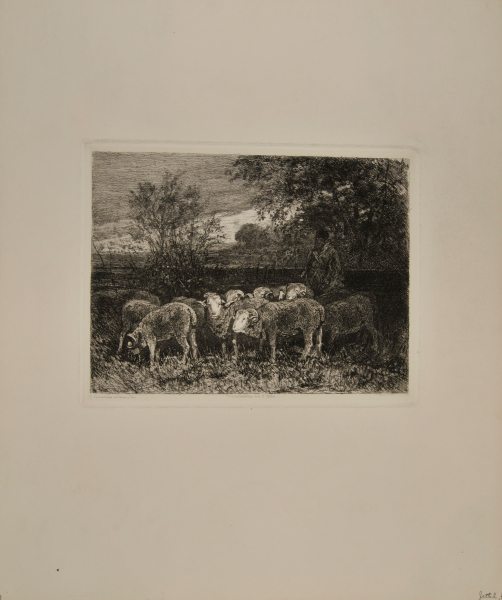 SHEPHERD WITH FLOCK OF SHEEP