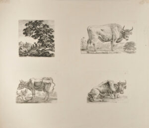 Landscape with Leaning Oak (upper left); Standing Ox, Facing Right (upper right); Resting Cow, Facing Right (lower right); Thin Standing Cow, Facing Left (lower left)
