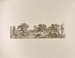 Hilly Landscape with Trees