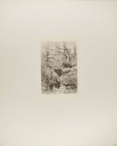 Forest Scene with Wild Boars