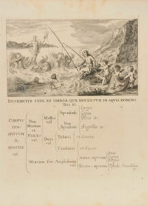 Franciscan Philosophy