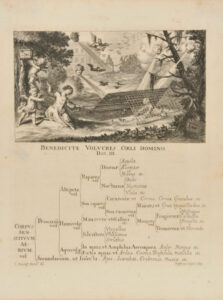 Francisco Philosophy