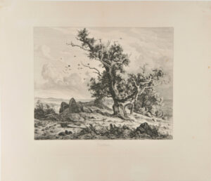 Runensteine auf der Insel Rügen