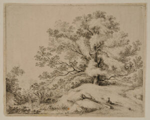 Landscape with Spreading Oak