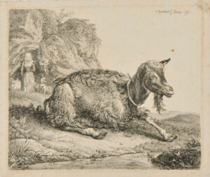 Goat, Turned to Right