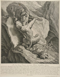 Lioness Fighting a Wolf