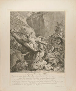 Raub Vögel bey Tage