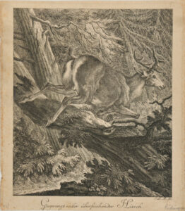 Stag Leaping over a Log