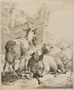 From the series “Sheep and Goats” (vertical plates)