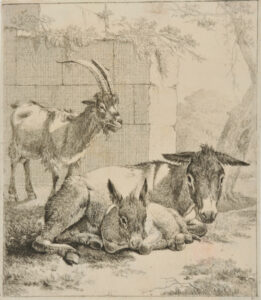 Lying Donkey with Young, A Goat in Front of Wall at Left