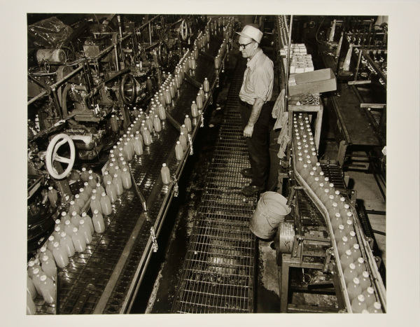 Stanley Running the Line at Showerings, Inc., Havre de Grace. - Image 2