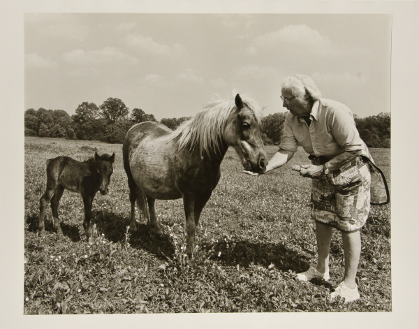 Harriet S. Rogers, Olney Farm, Joppa. - Image 3