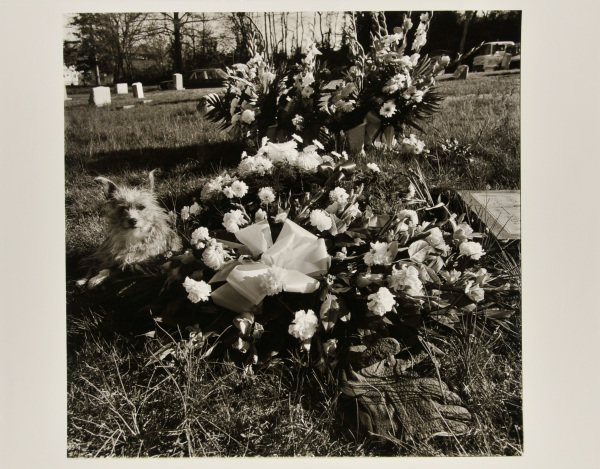 Angel Hill Cemetery, Havre de Grace. - Image 2