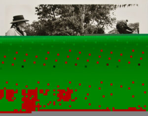 Members Opening for Wurtzburger Sculpture Garden, Baltimore Museum.