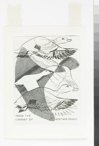 BOOKPLATE (FROM THE LIBRARY OF MORTIMER BRANDT)