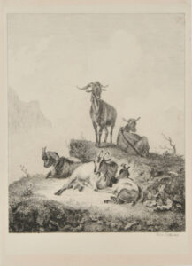 Goats in the Alps