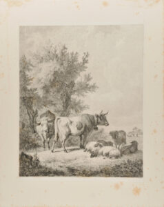 Landscape with Cows and Sheep