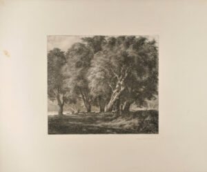 A Flock of Sheep Under the Great Trees