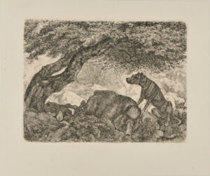 Dog Watching a Dead Boar in a Forest