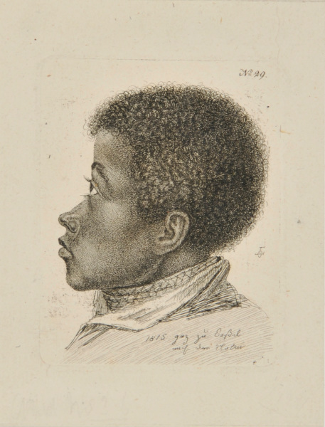 Head of an African Boy - Image 2